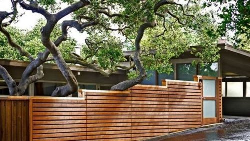 Cedar Fence for Specific Space