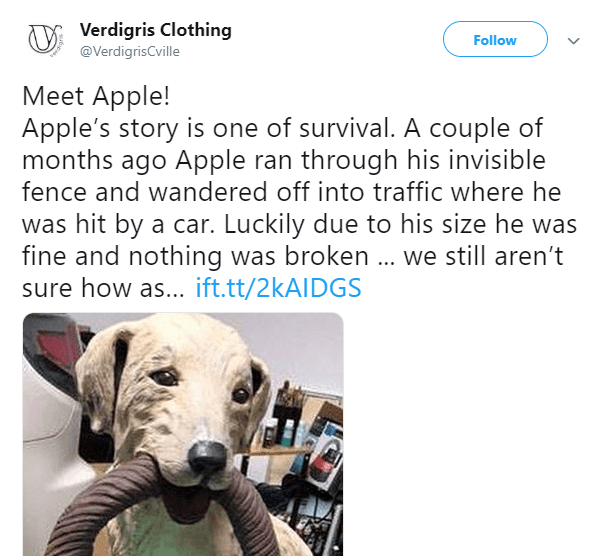 Dangers associated with invisible fences AVO Fence & Supply